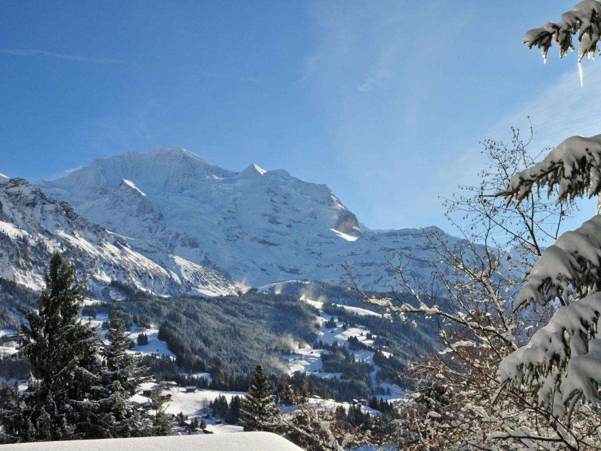 Apartment Silberhorn-1 By Interhome Wengen Exterior foto